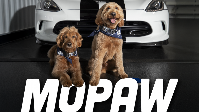 Mopar Pets Ts3