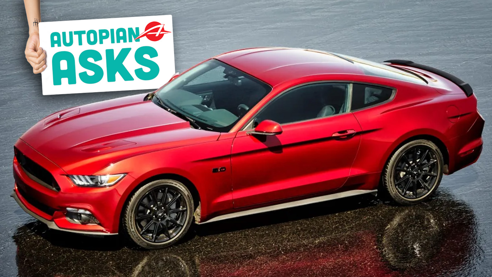 Mustang_2016_AA Mustang 2016 Aa