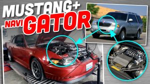 Navigator Power Mustang Ts