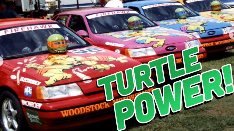 Ninja Turtle Fords Ts2