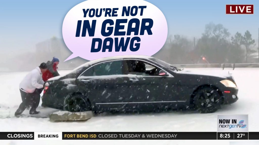Not In Gear Dawg Ts3