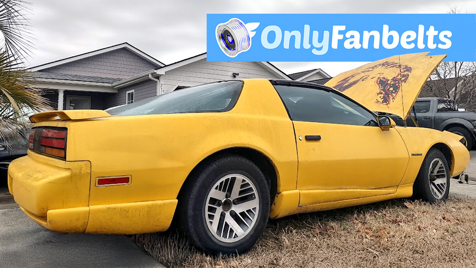 Only Fanbelts 021926