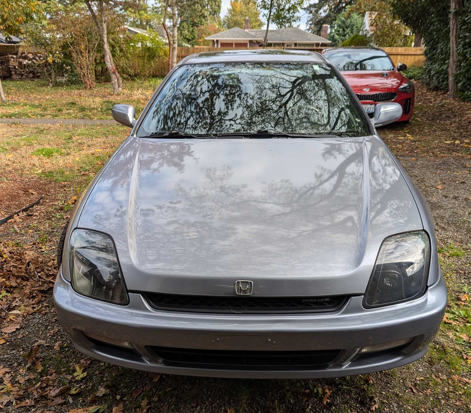 Pxl 20241020 184712830