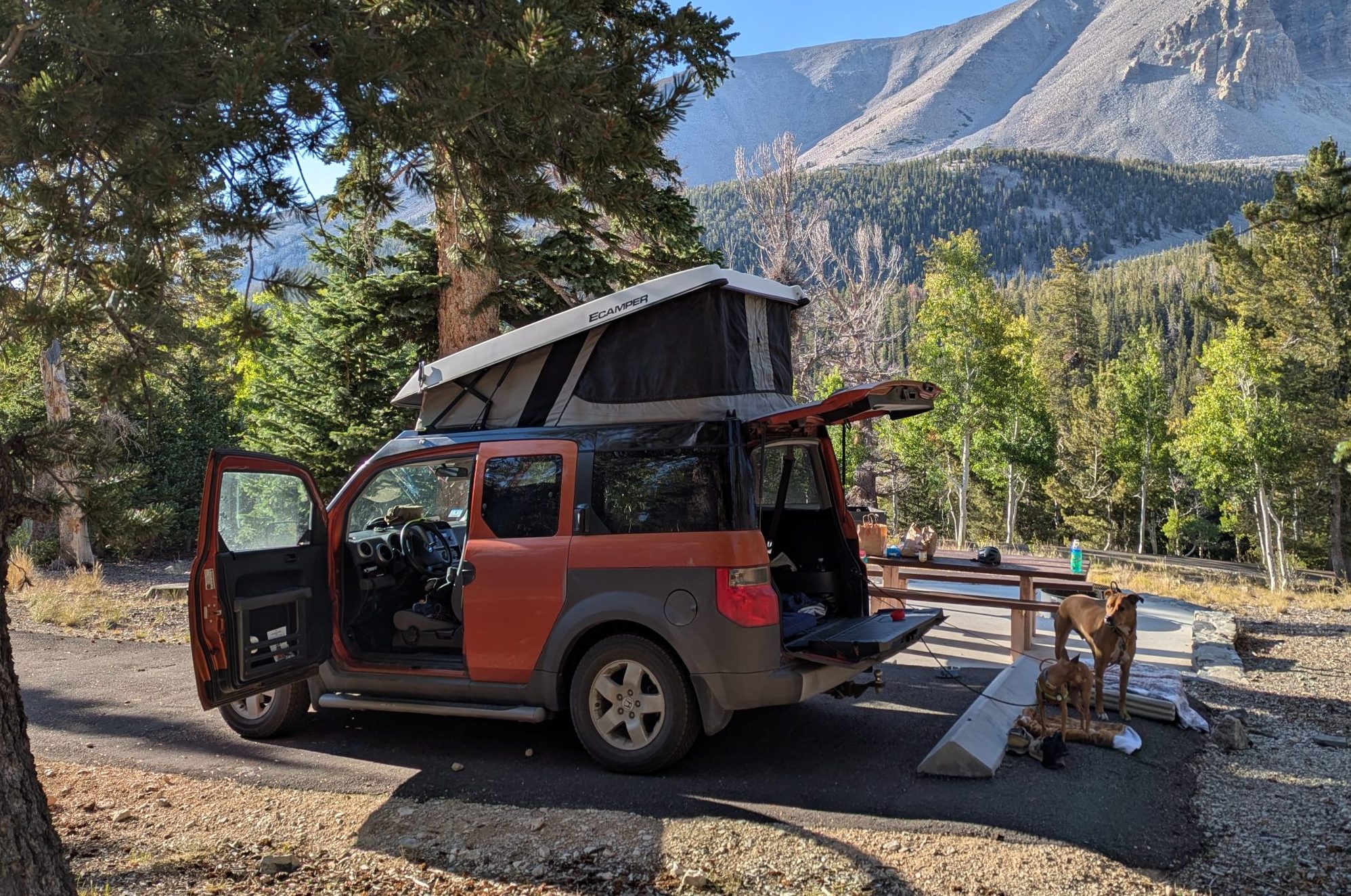 Pxl 20250902 145731351