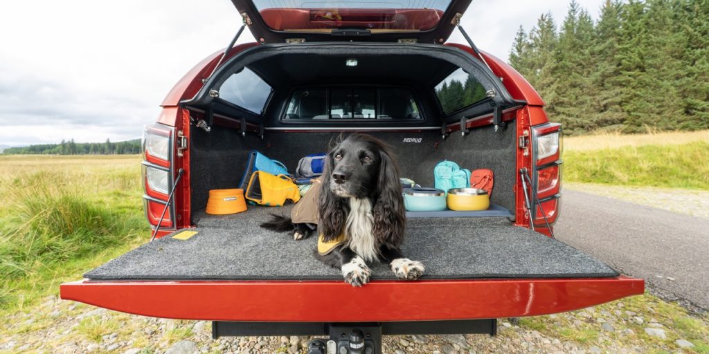 Ruffwear X Isuzu Carousel Large