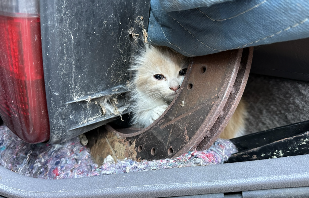 Screen Shot 2023 07 13 At 12.15.15 Pm