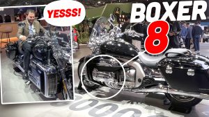 Souo Boxer Bike Ts
