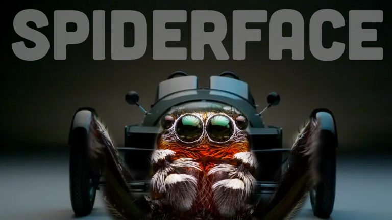 Spiderface Top