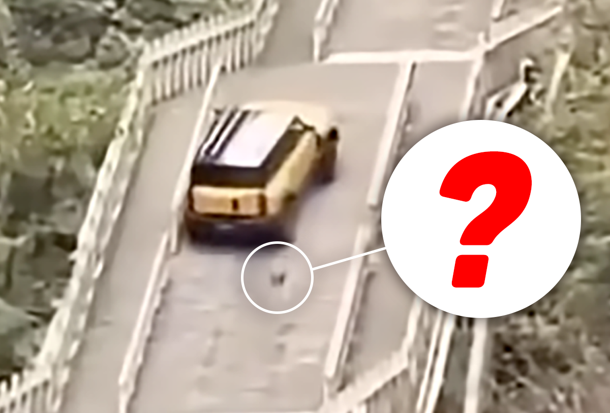 Range Rover Stairs Watch A Chinese Carmaker Try To Match Land Rover And Destroy An Ancient ...