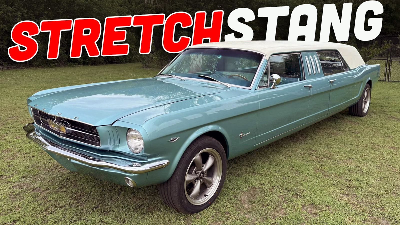 Stretch Mustang Ts