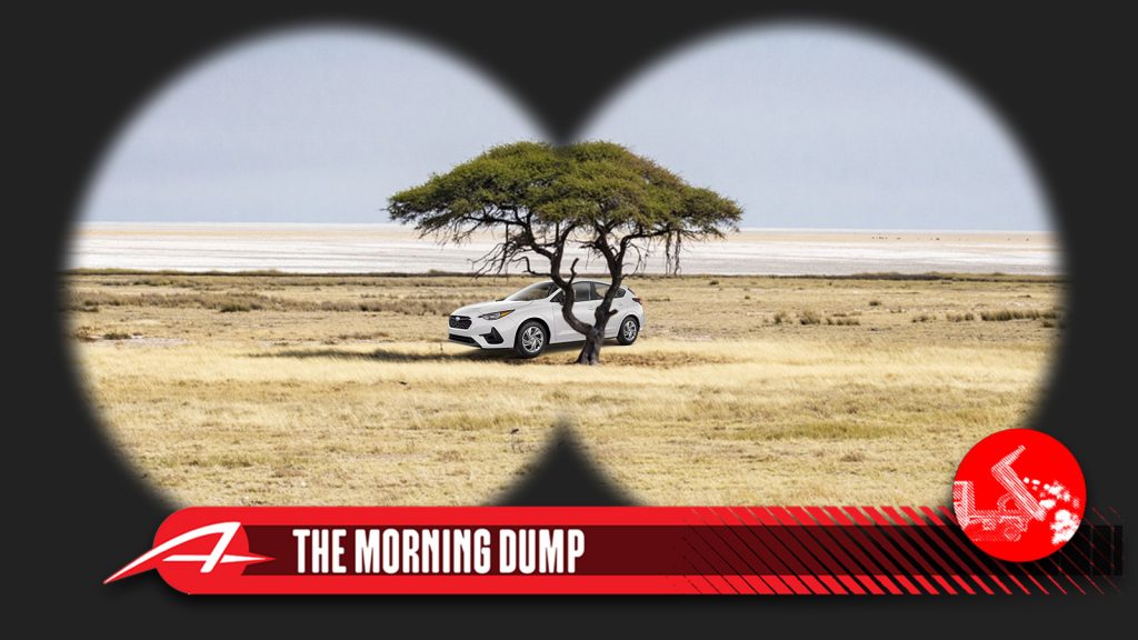 Tmd Endangered Species