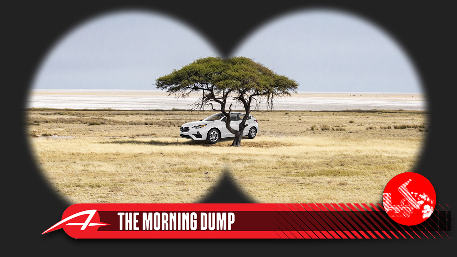 Tmd Endangered Species