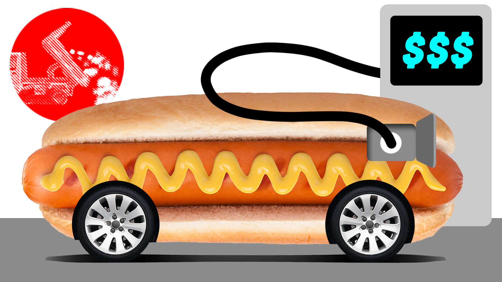 TMD_Hot_Dog_Top Tmd Hot Dog Top