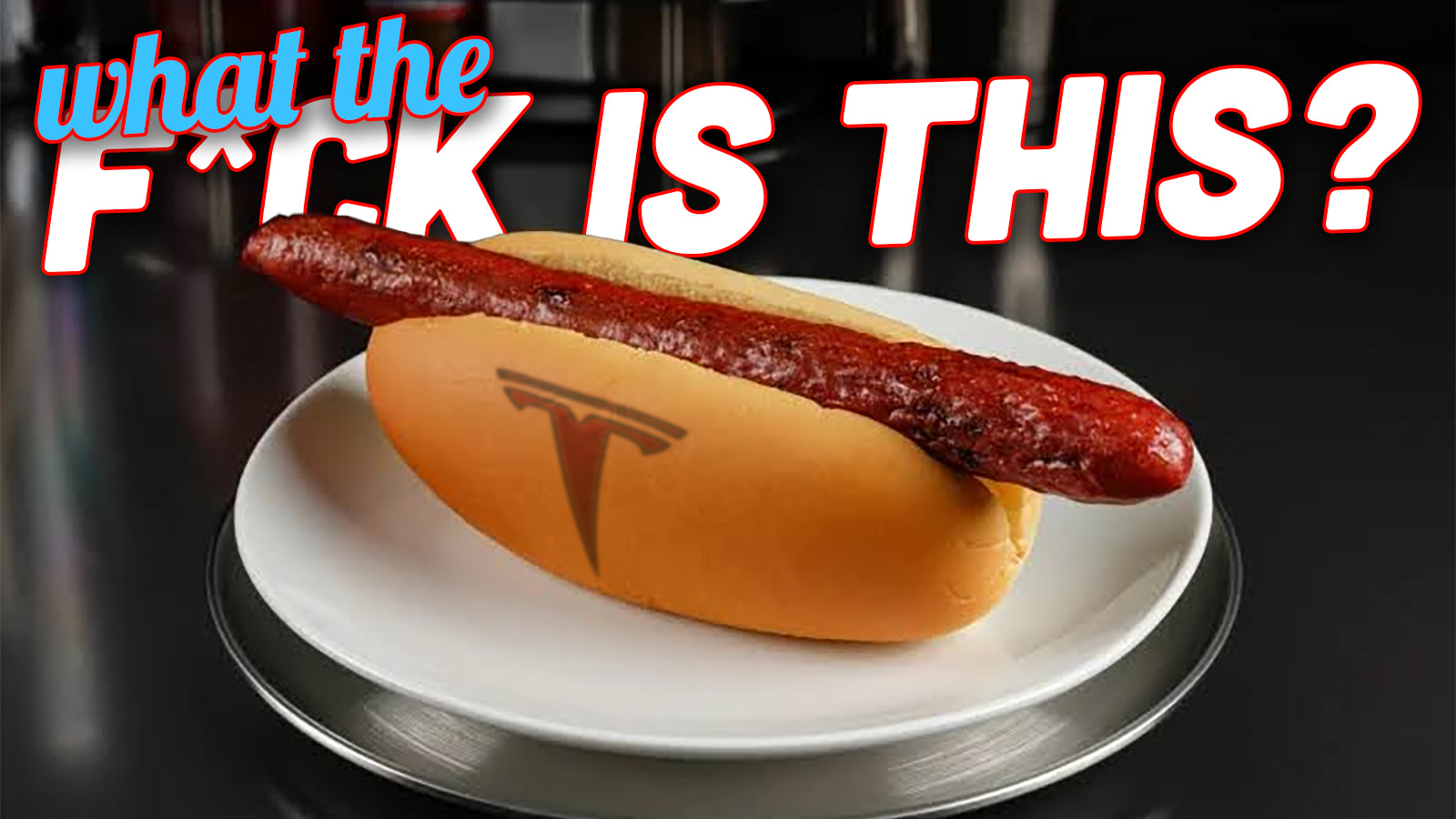 Tesladog Top