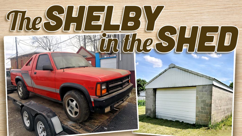 Theshelby In The Shed Ts