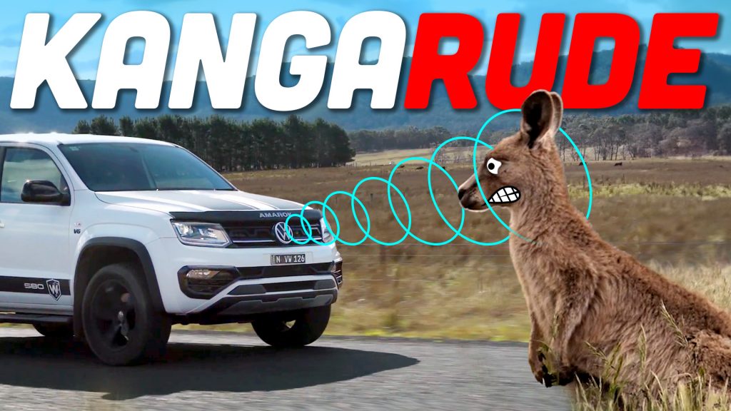 Vw Kangroo Warning Ts2