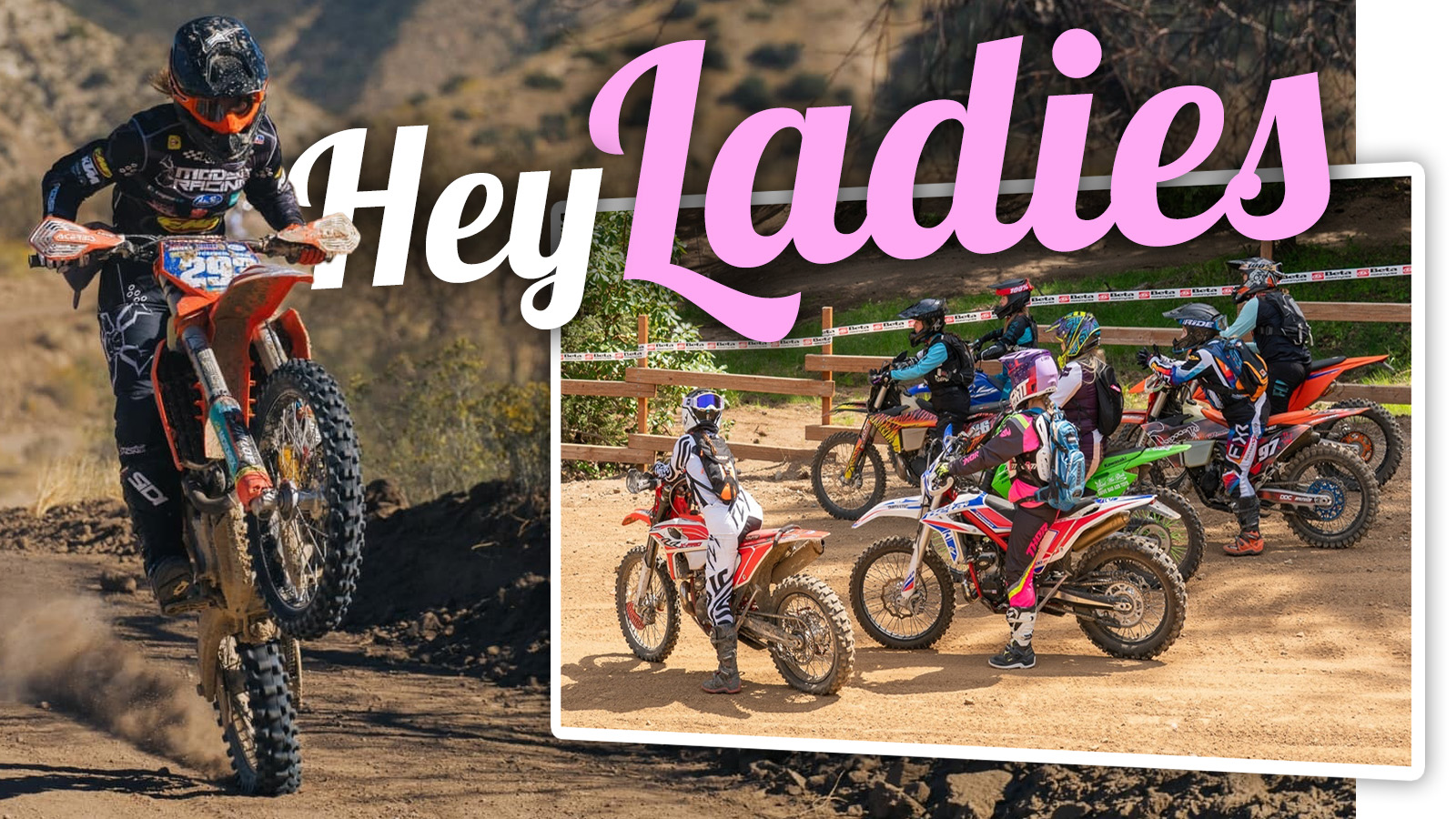 Womens_MX_TS Womens Mx Ts