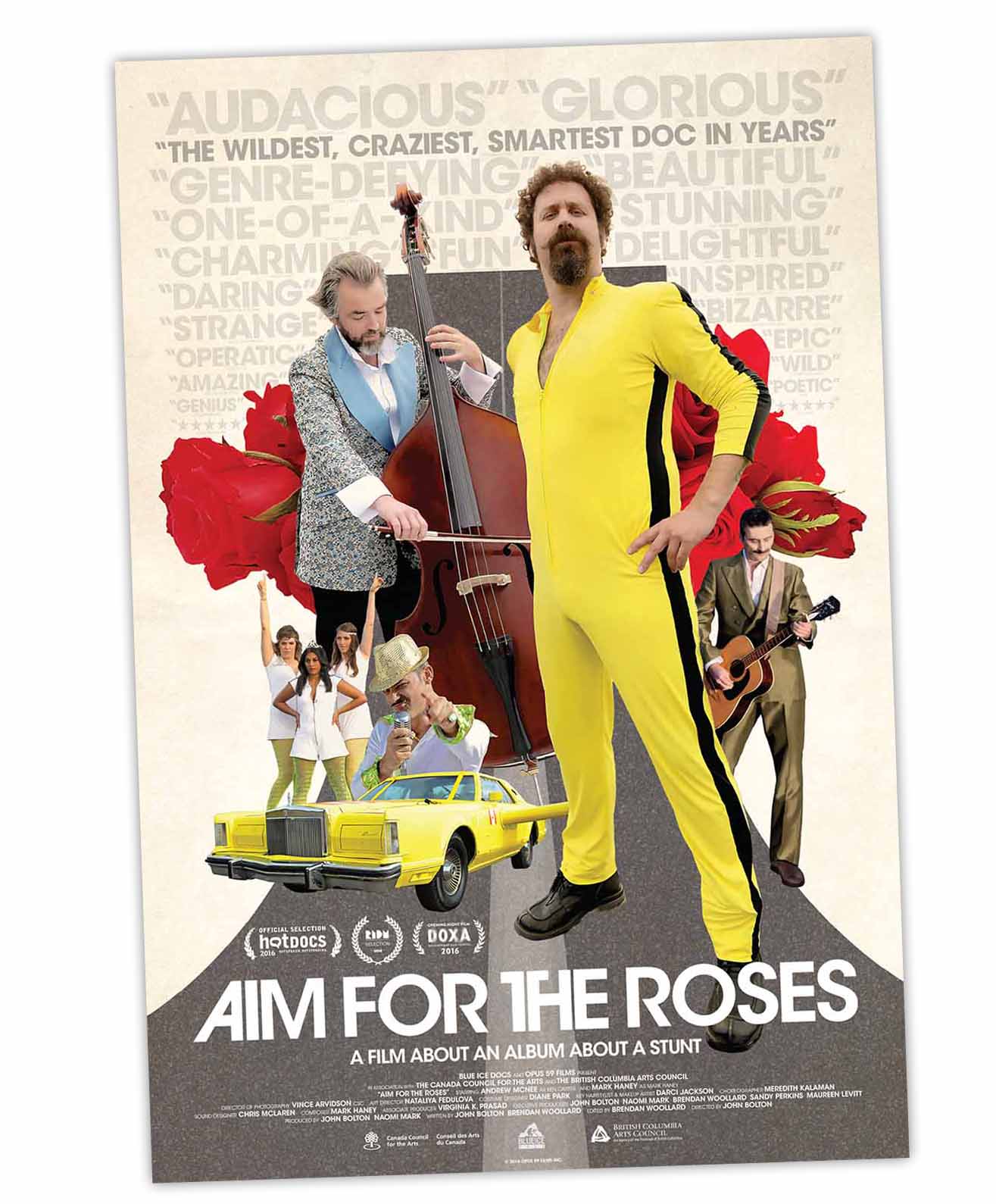 Aim For The Roses2