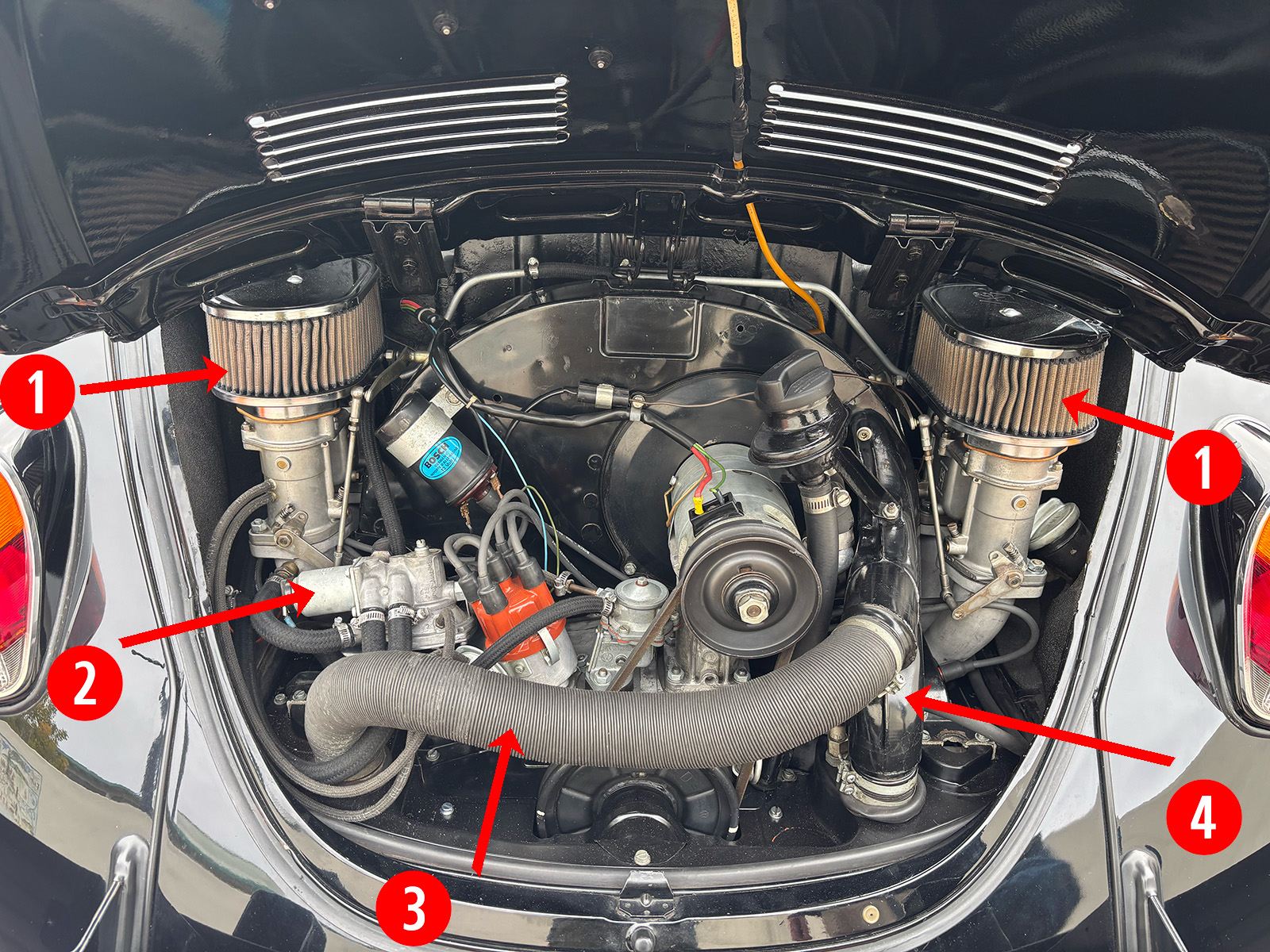 Beetlelimo Engine