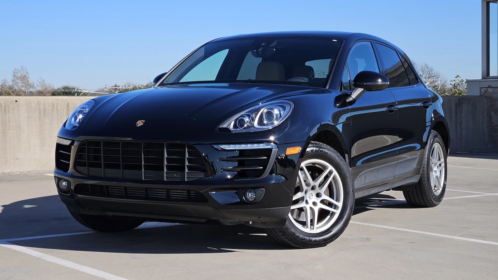 Black Macan Texas 1 Copy
