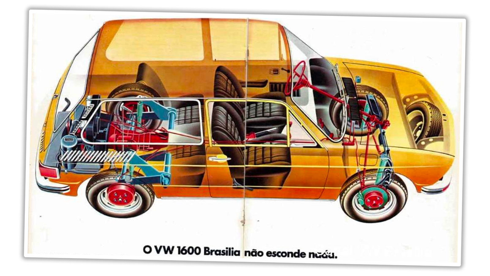 Brasilia Cutaway