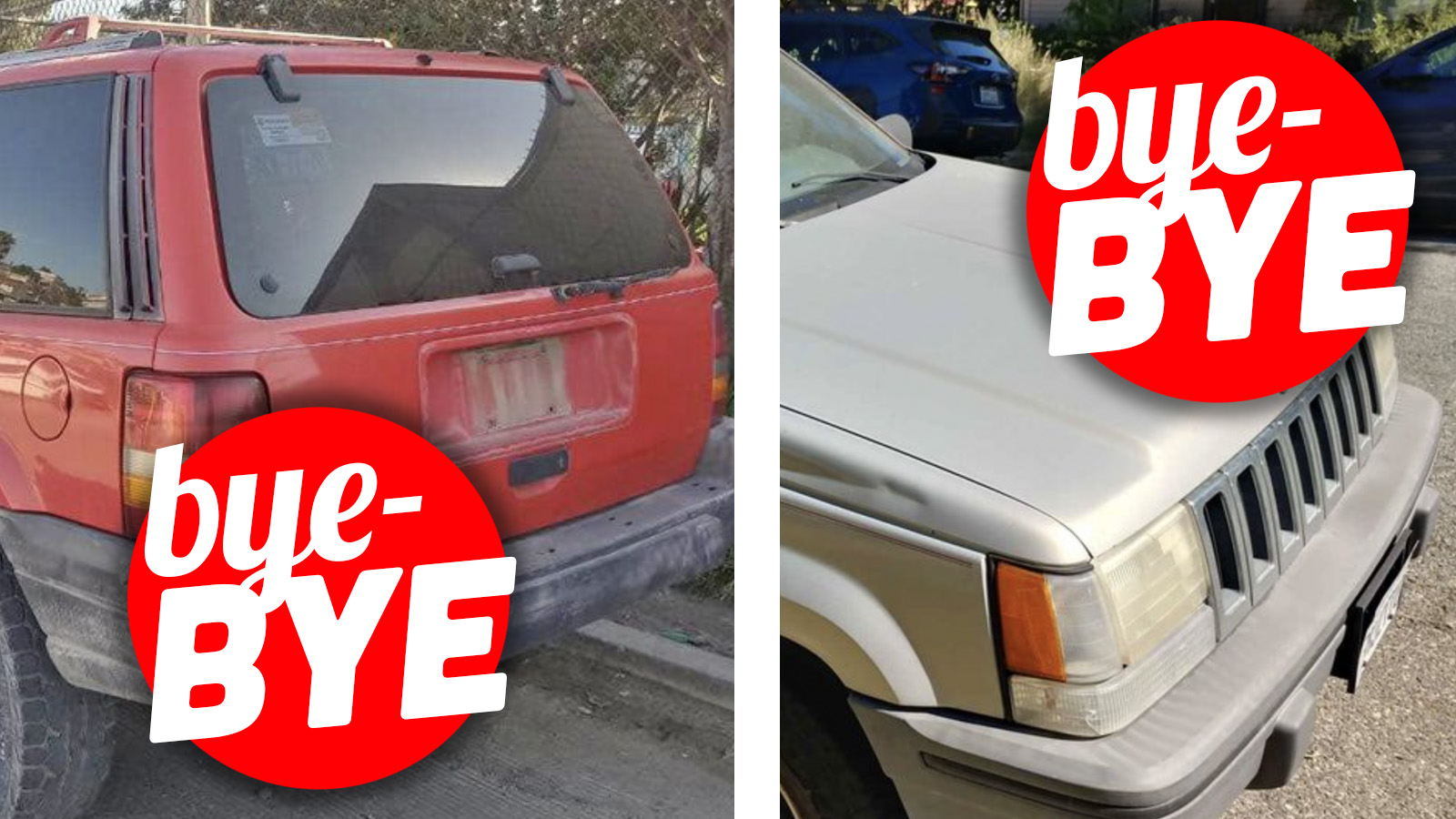 Bye Zj
