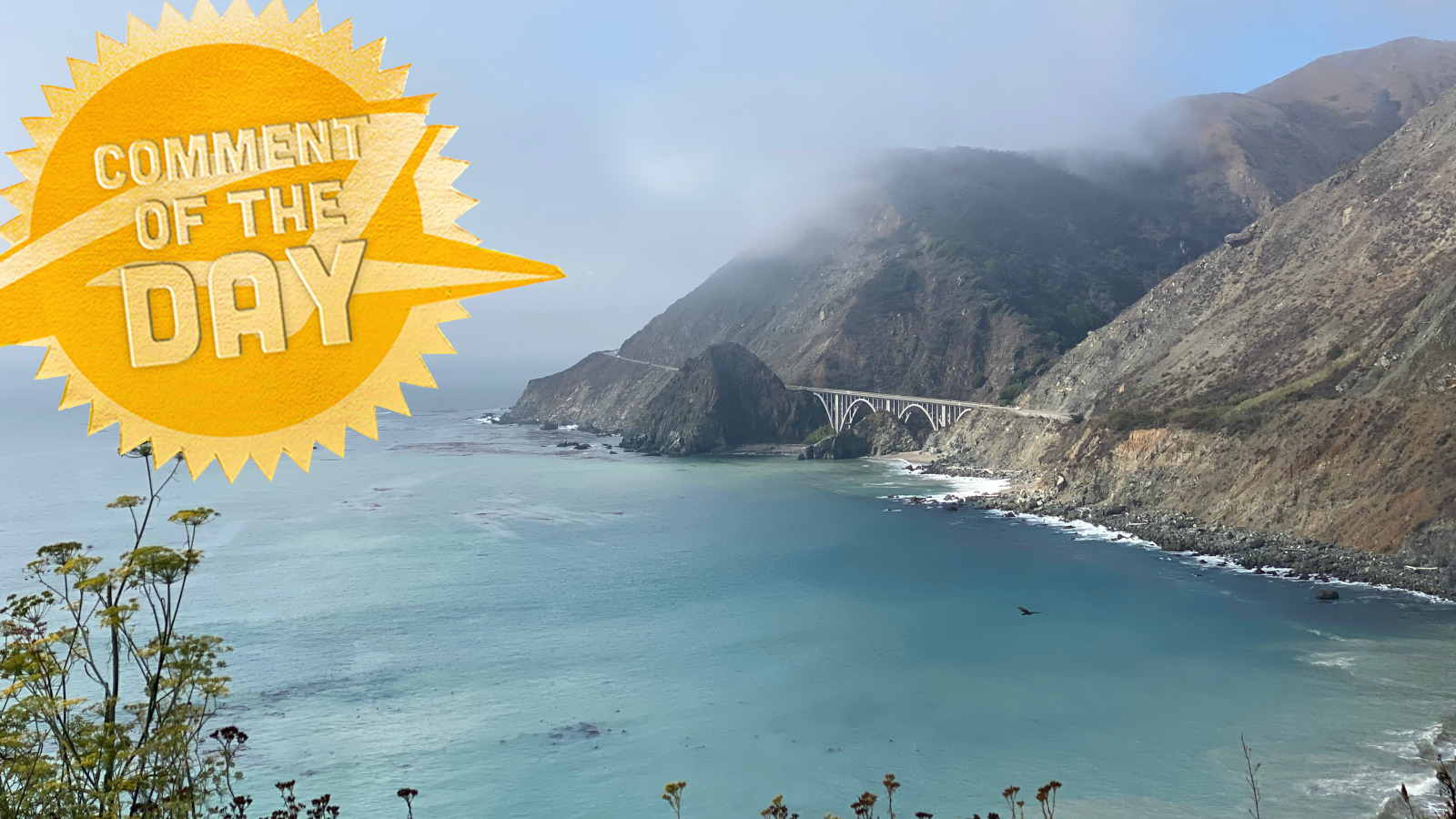 Californialovecomment