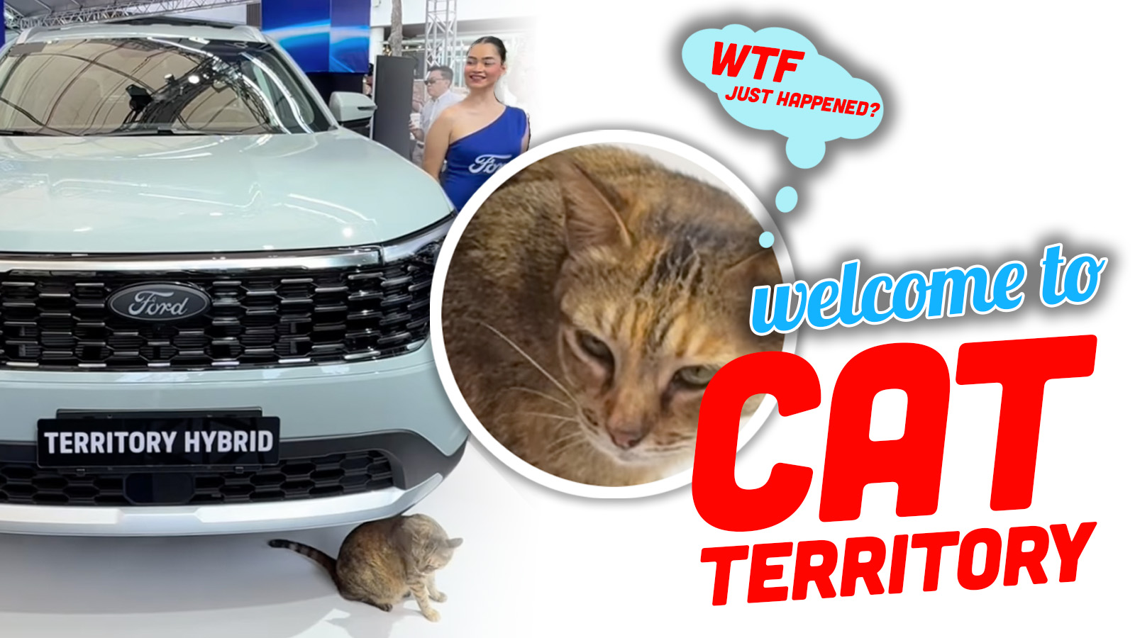 Catt Territory Top