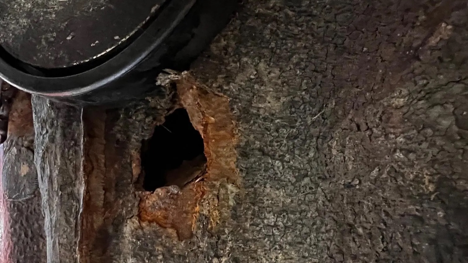 Crashed Porsche 912 Rust Hole