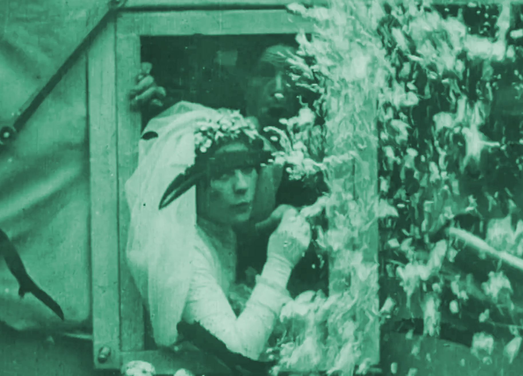 Cs Automaticmotorist Underwater