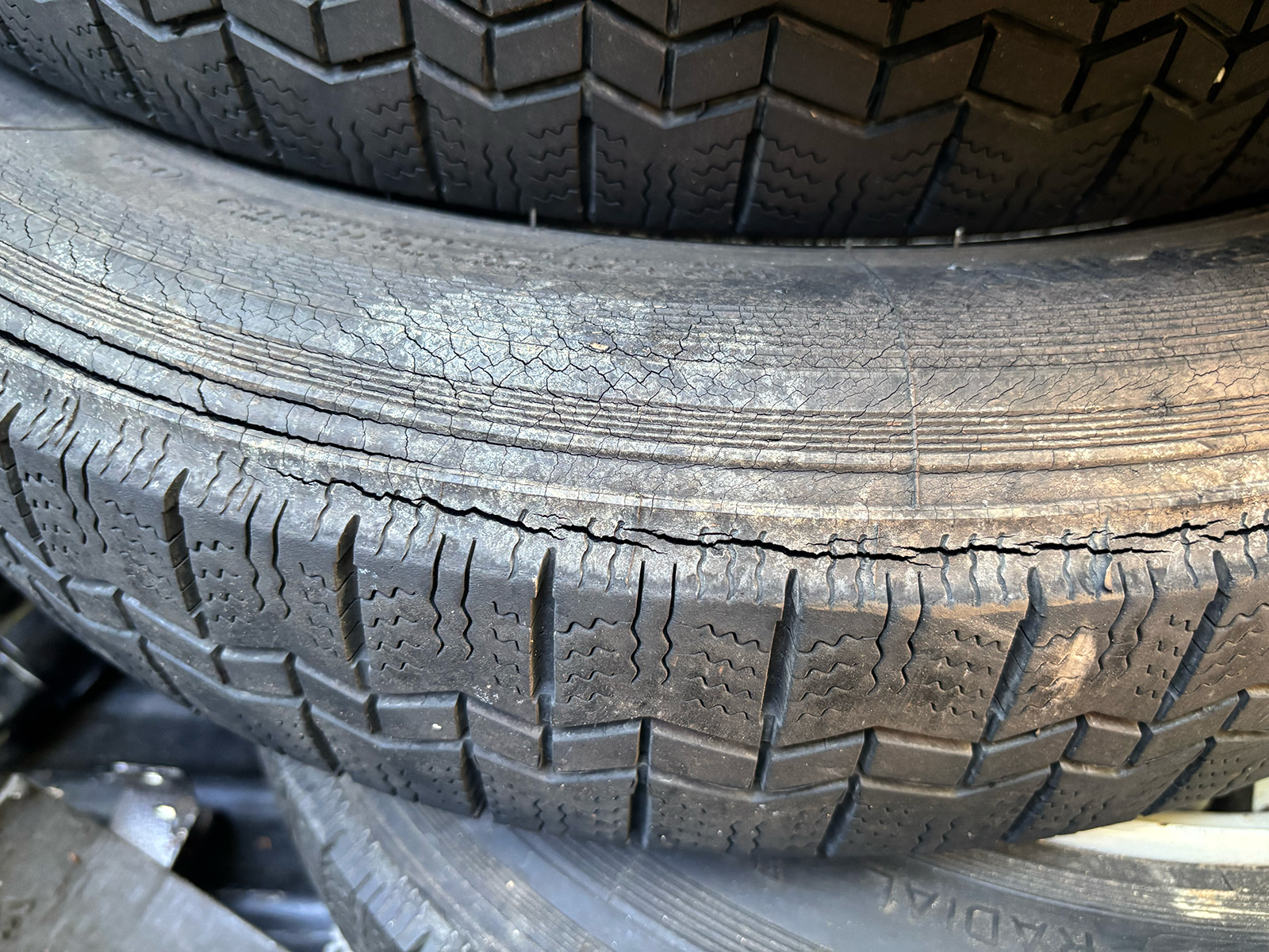 Cs 2cvtires Dryrot