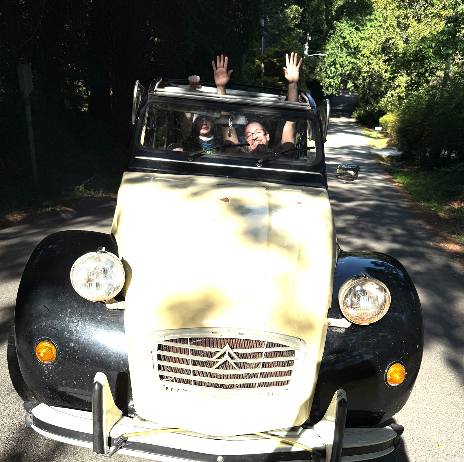 Cs 2cv Rollroof 5
