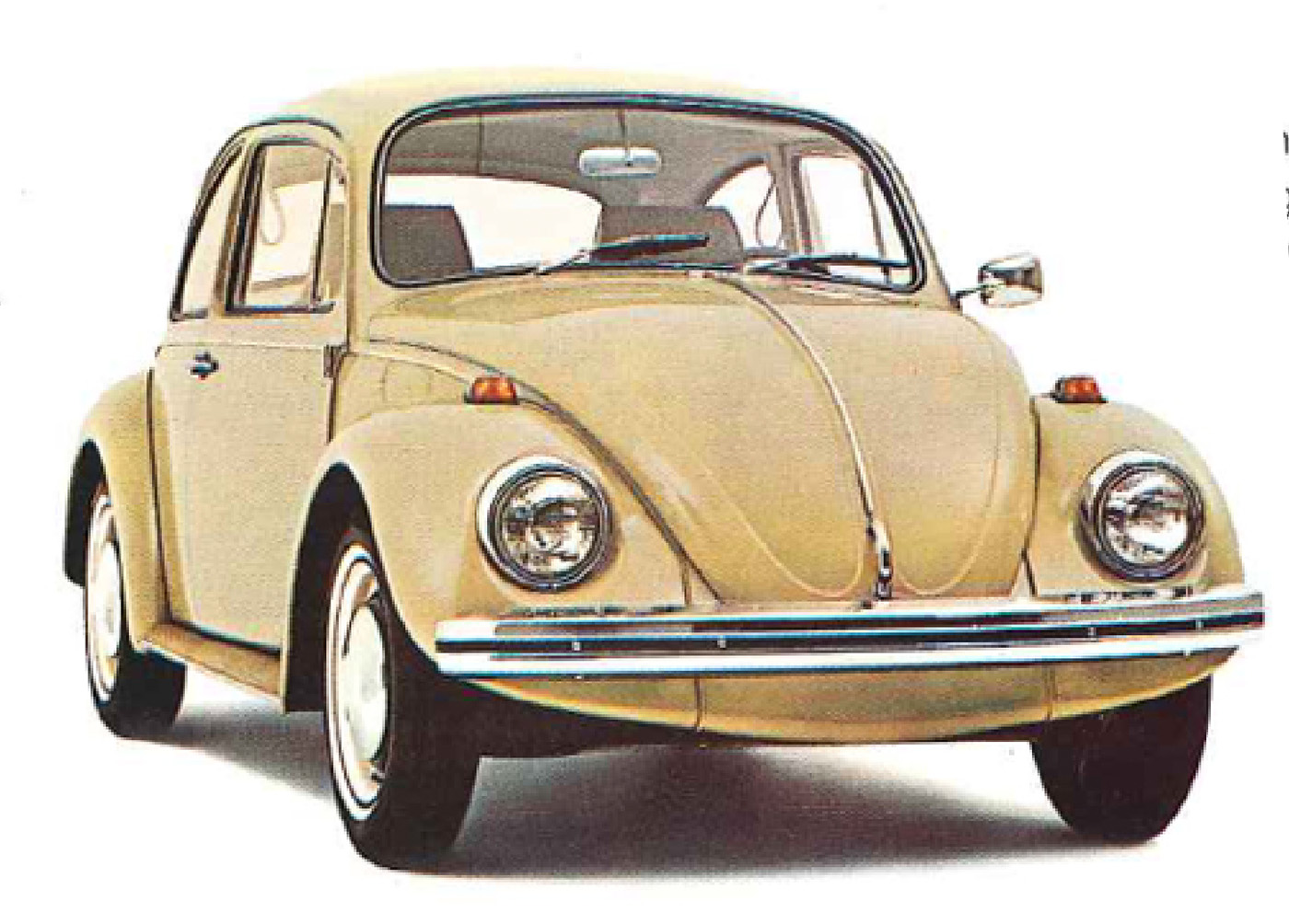 Cs 68beetle Prepro 1