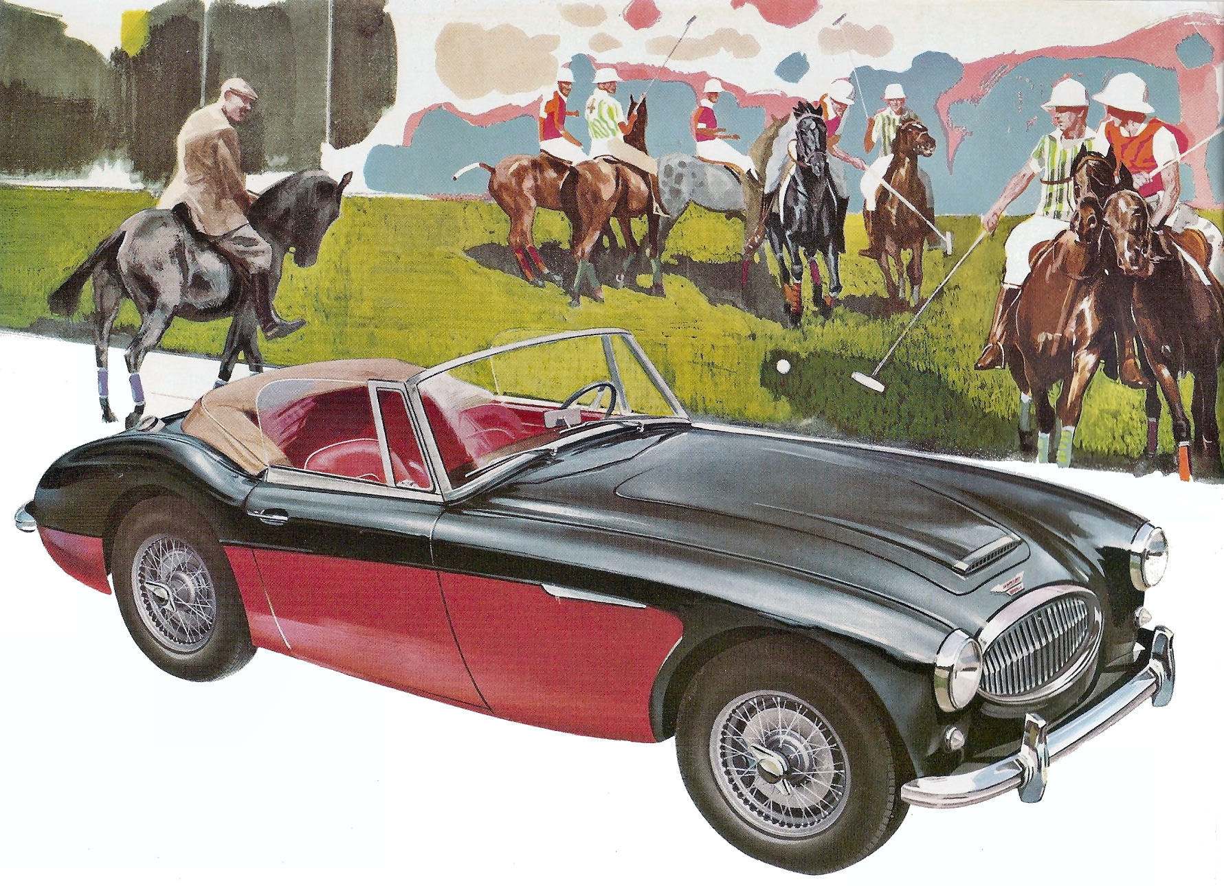 Cs Austinhealey Polo