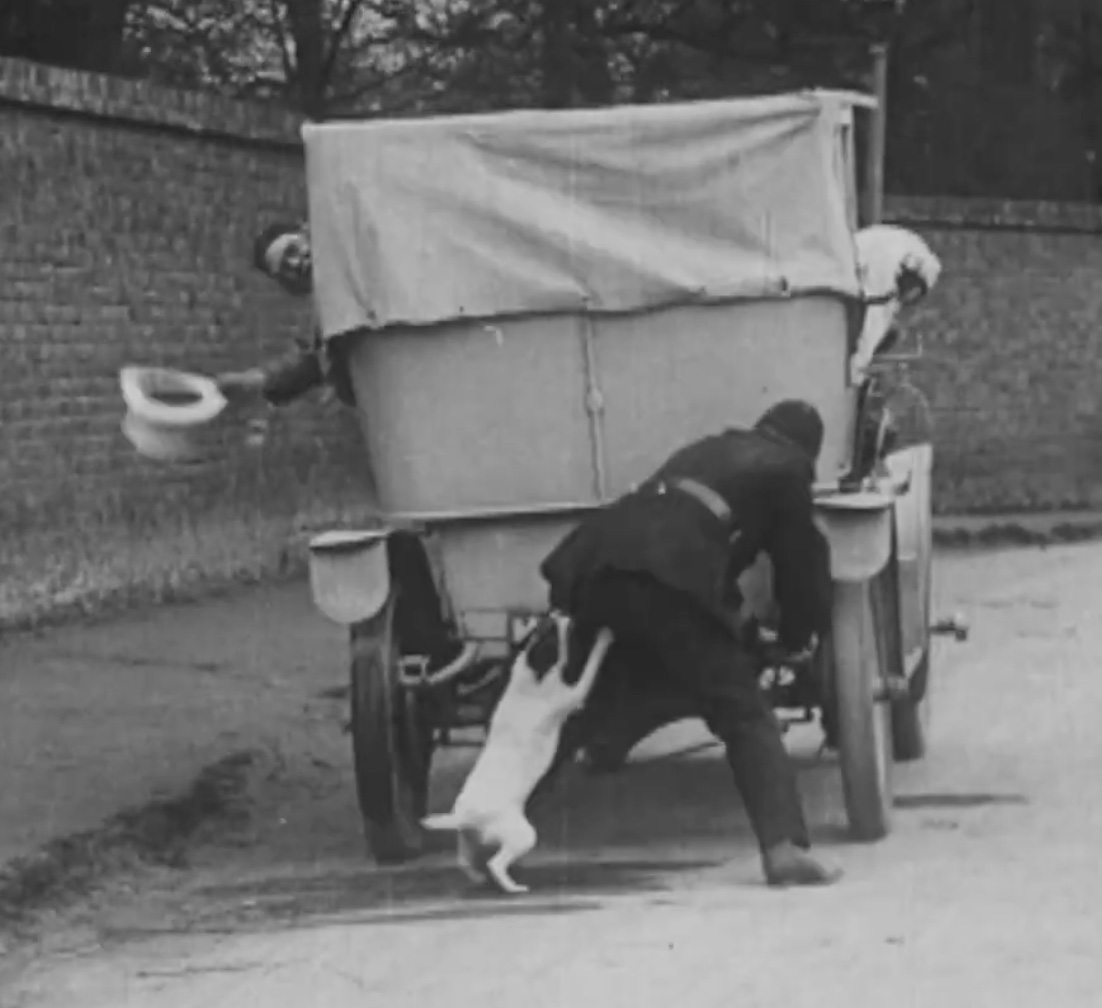 Cs Automaticmotorist Dogcop