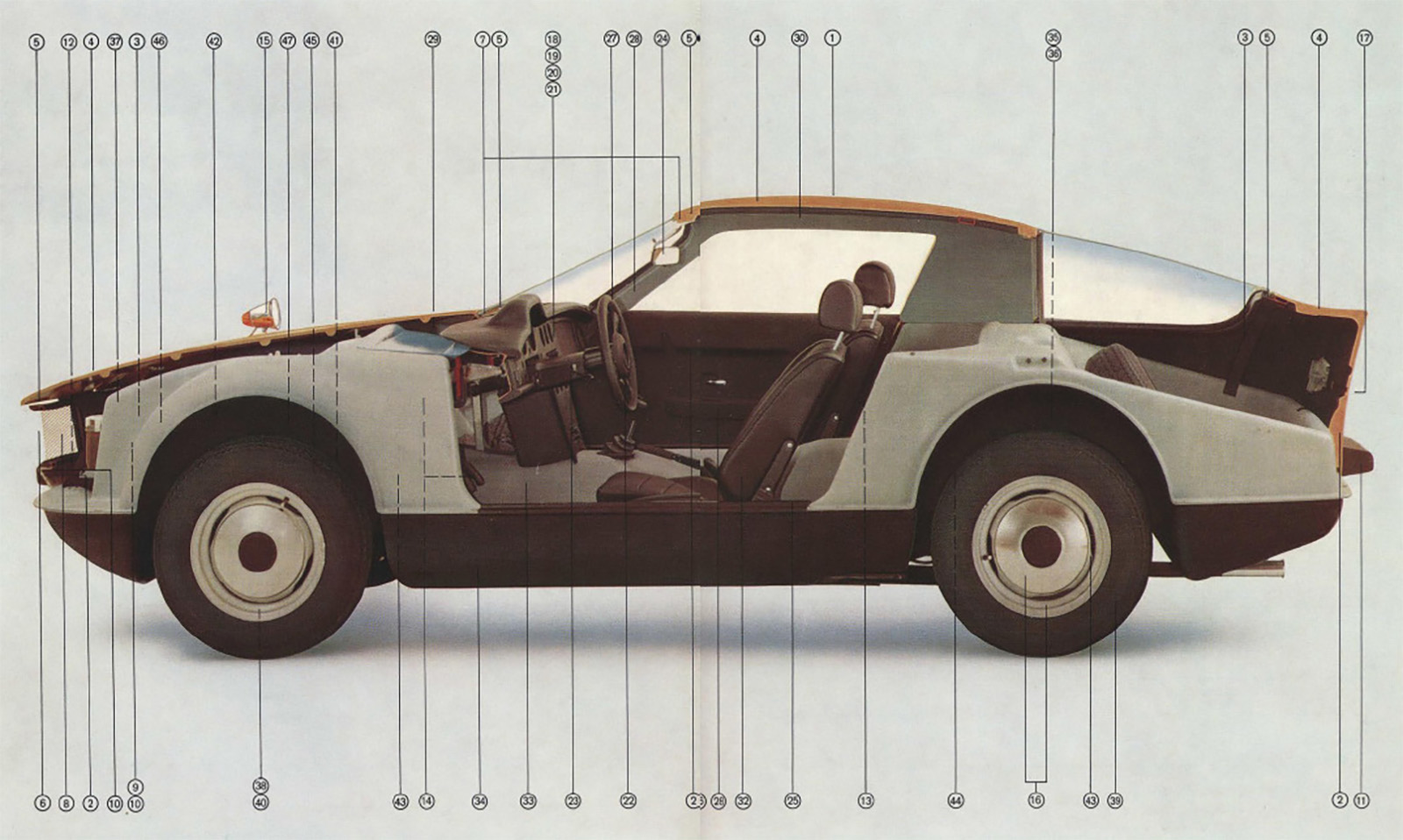 Cs Bayer Cutaway