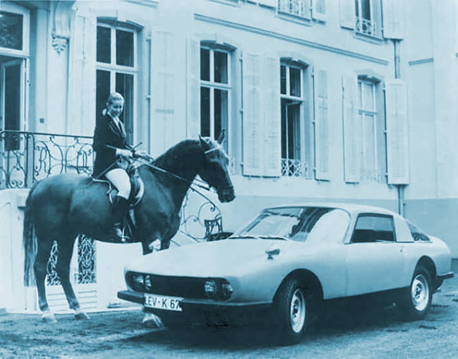 Cs Bayer Horse