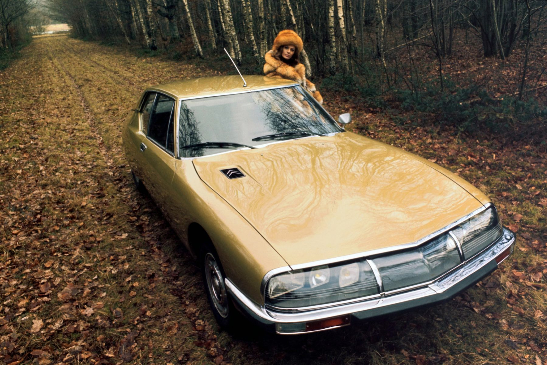 Cs Citroensm 1