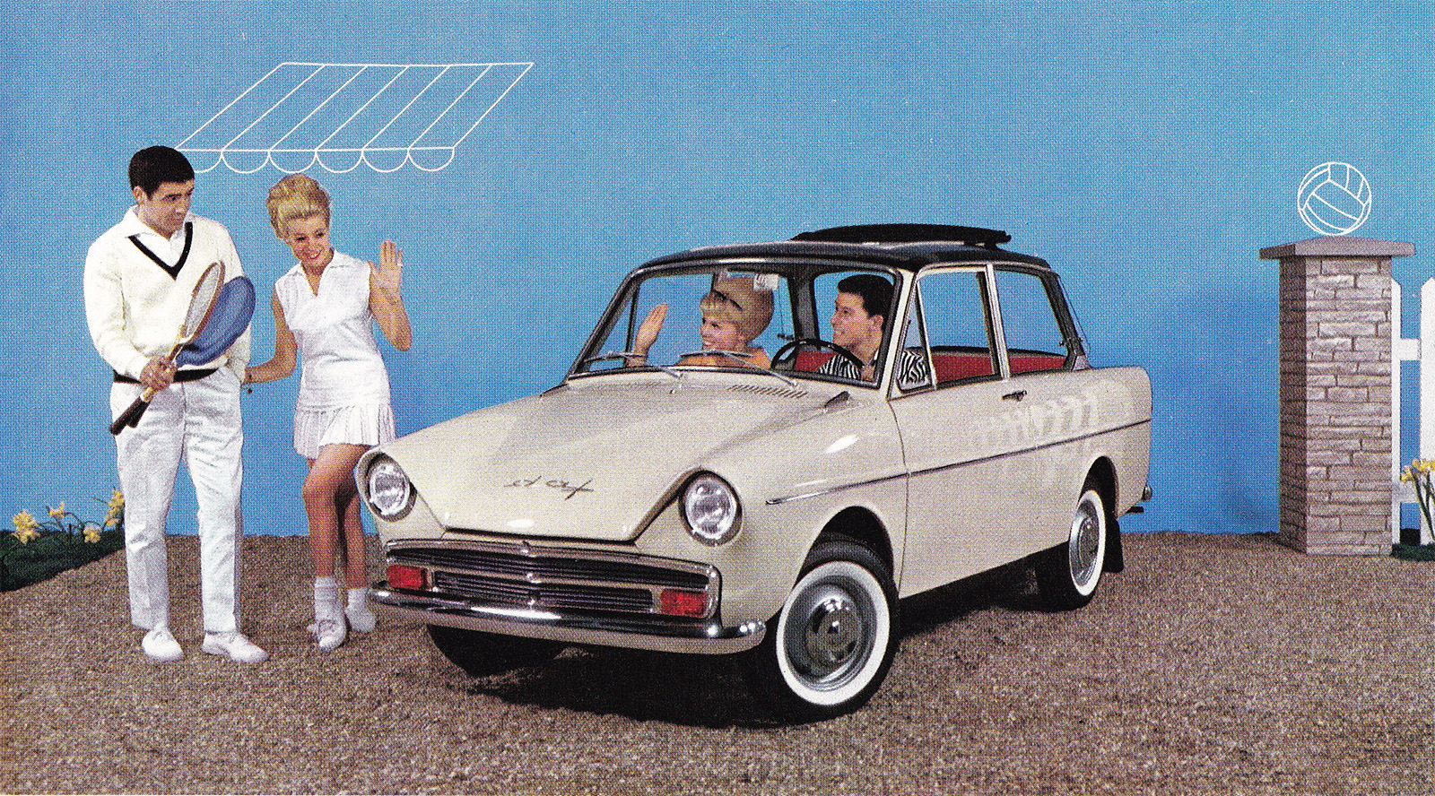 Cs Daffodil 2