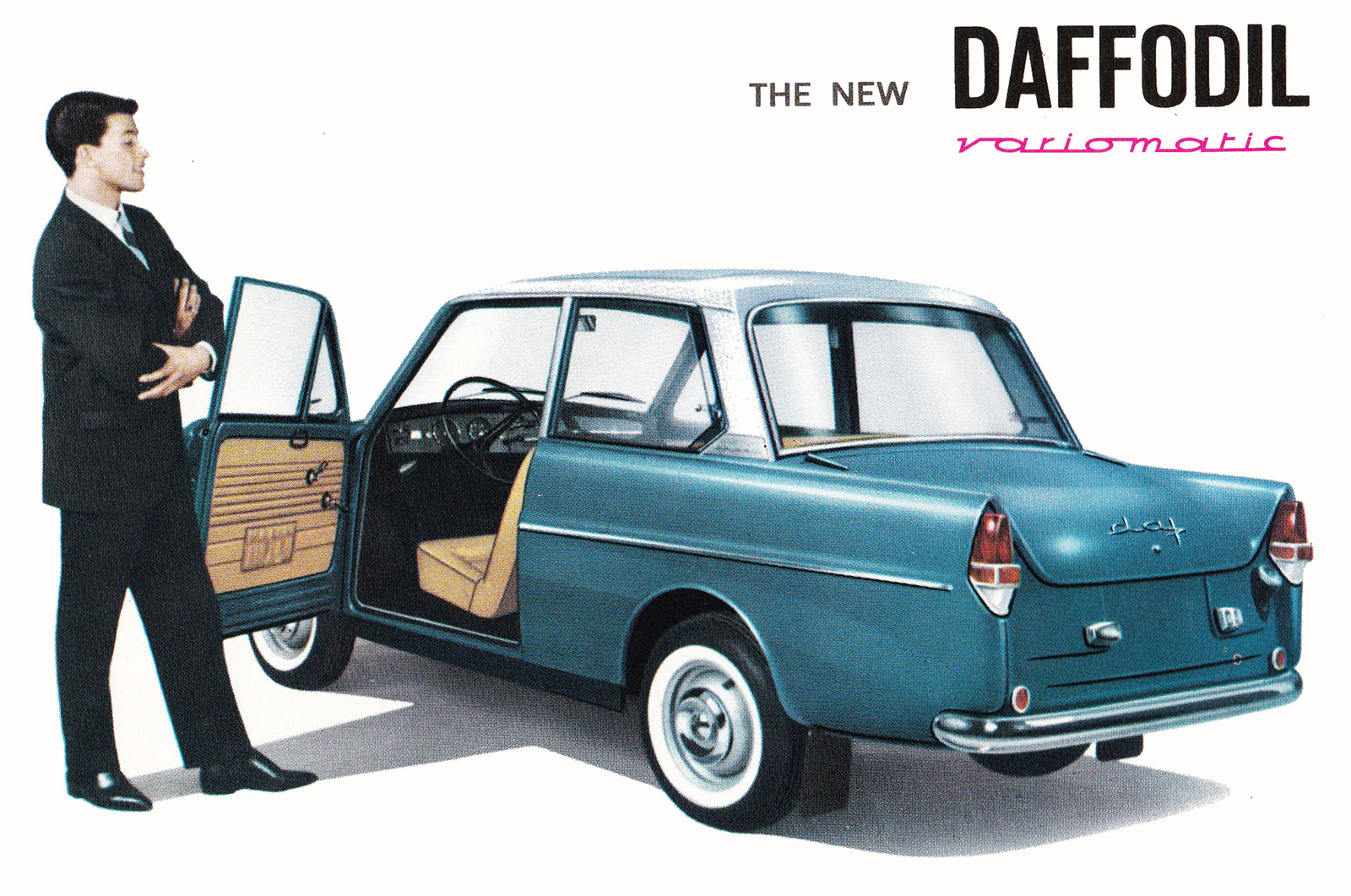 Cs Daffodil 3