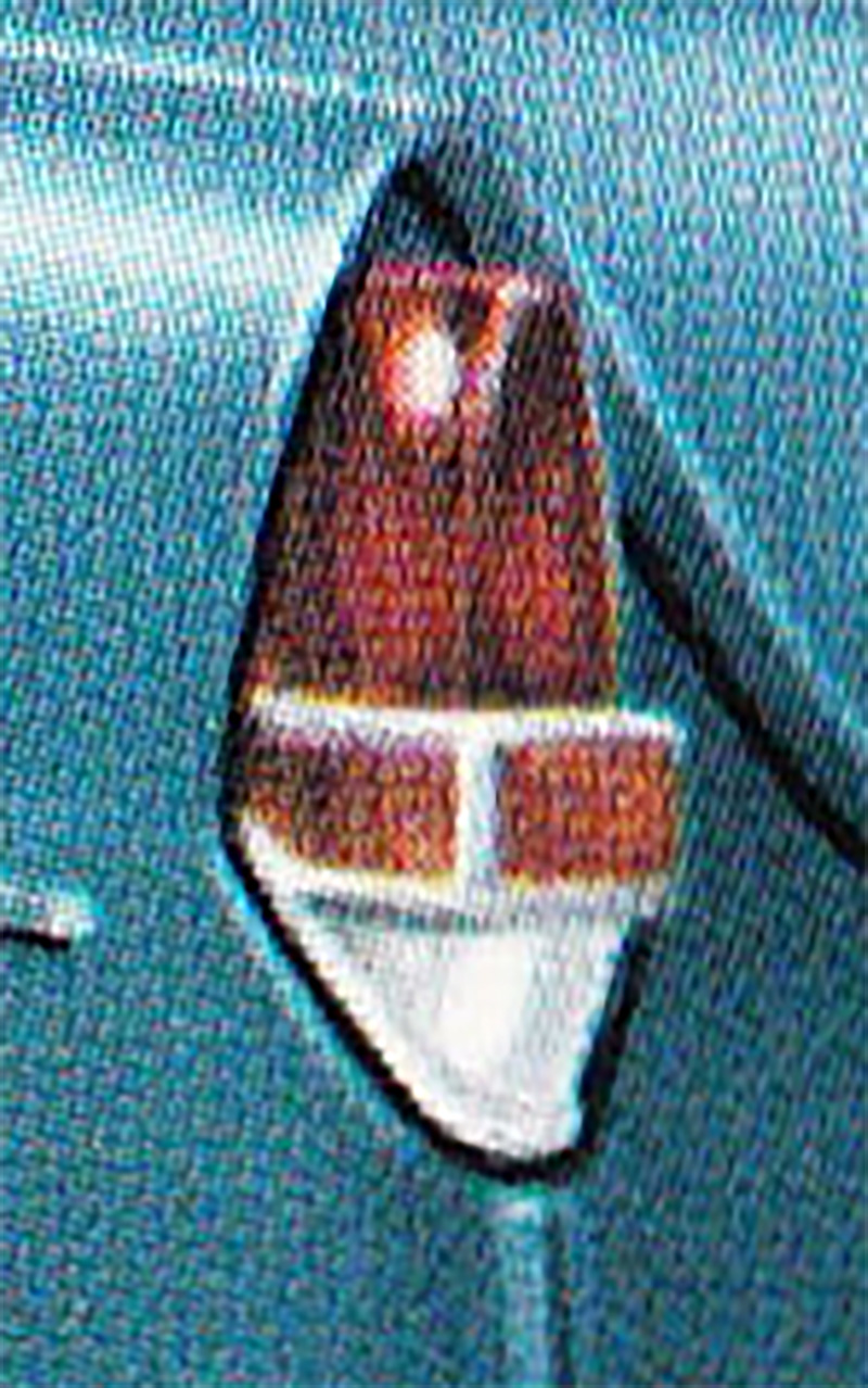 Cs Daffodil Taillights