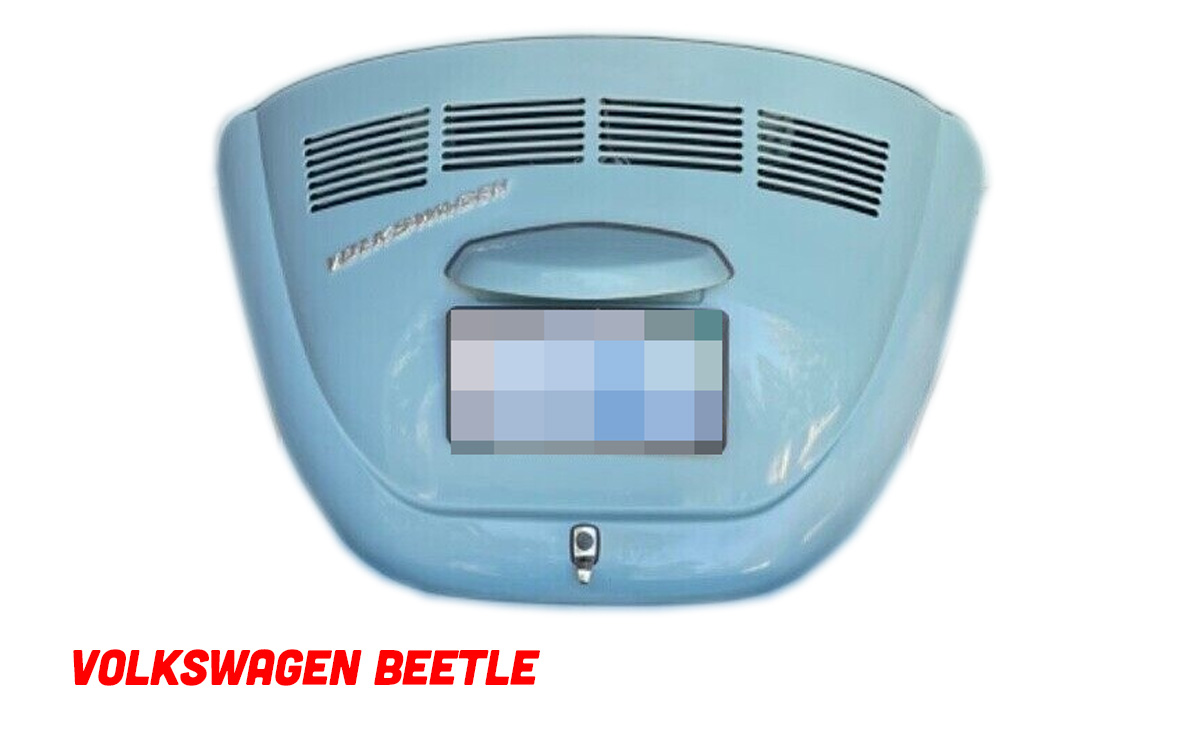 Cs Decklid Beetle