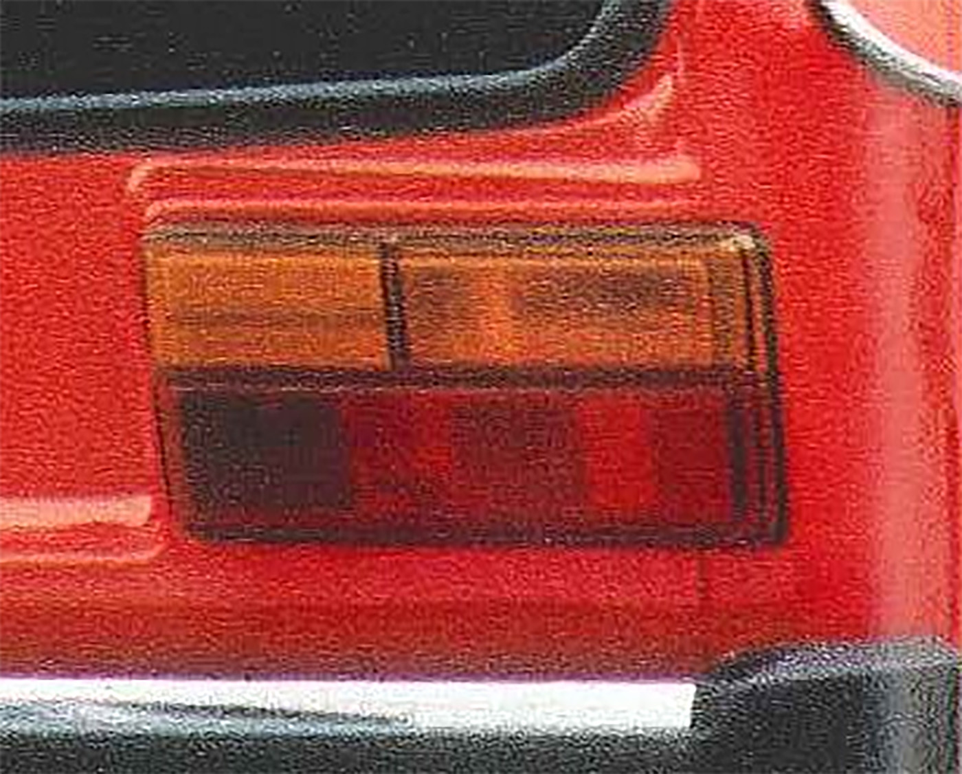 Cs Dogspedro Polotail