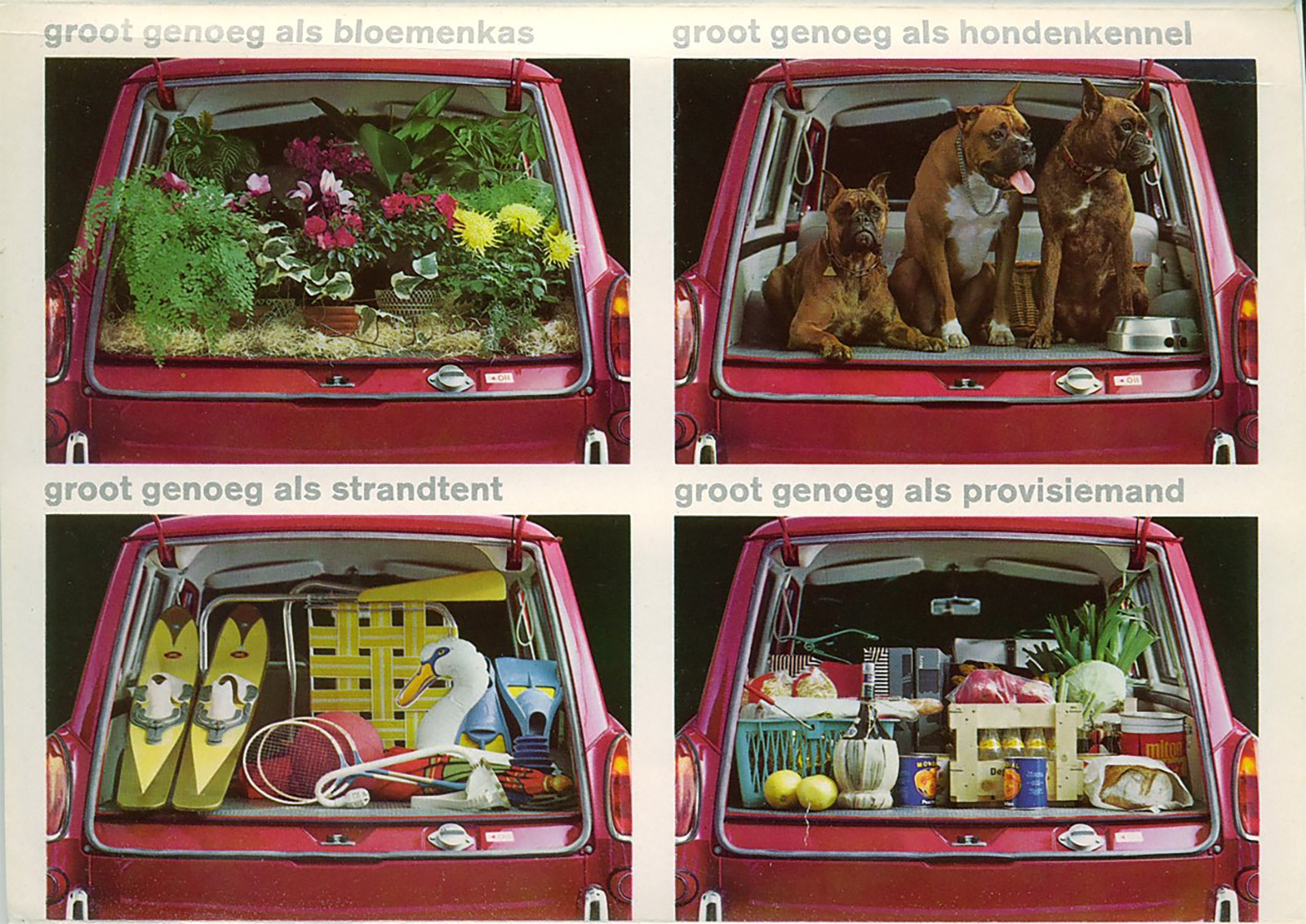 Cs Dohgs Pedro T3full