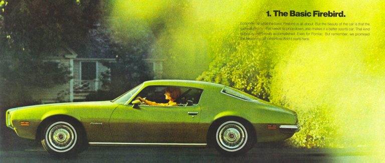 Cs Firebirdgreen