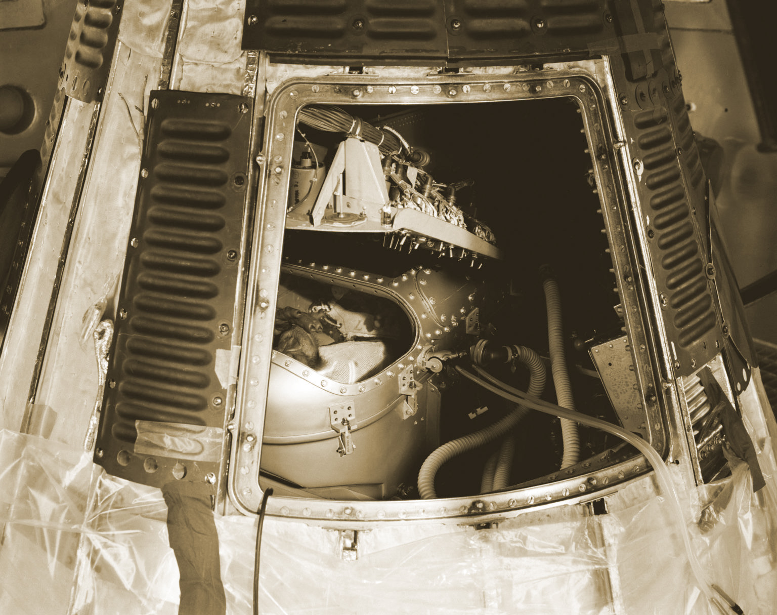 Cs Haminxcapsule