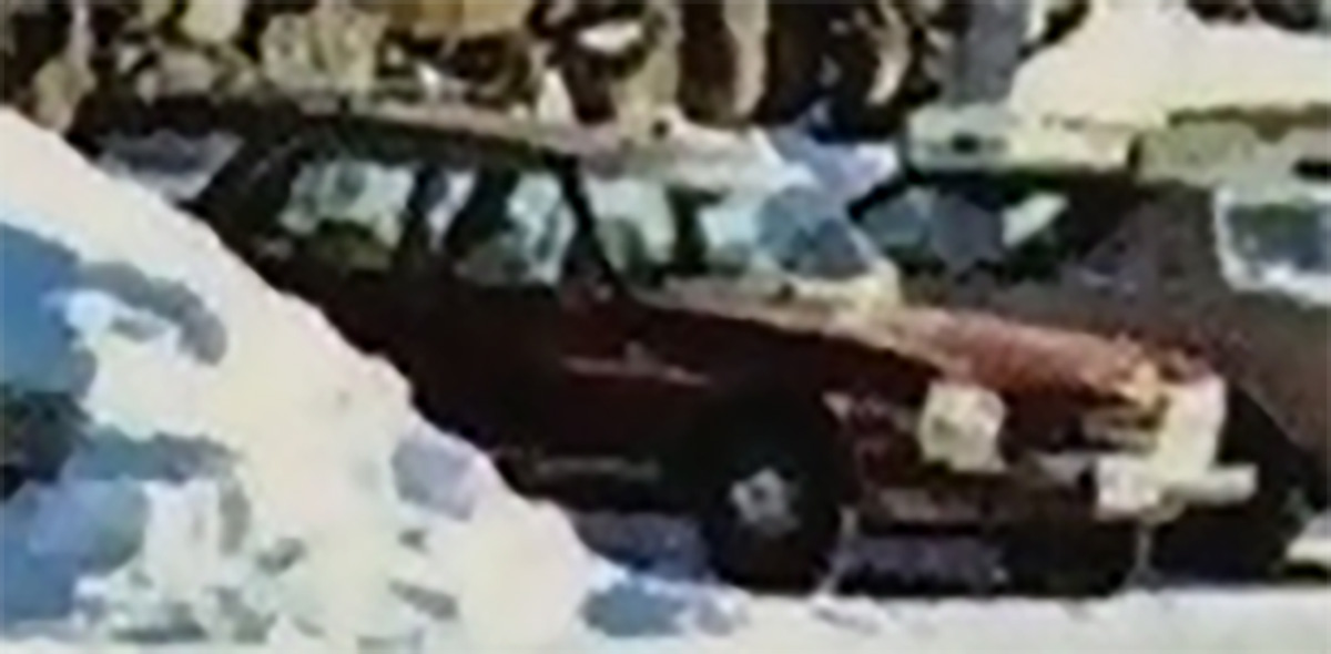 Cs Lakeplacid Pug504