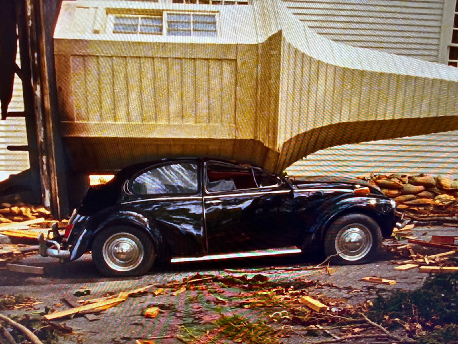 Cs Moonrise Beetle 2