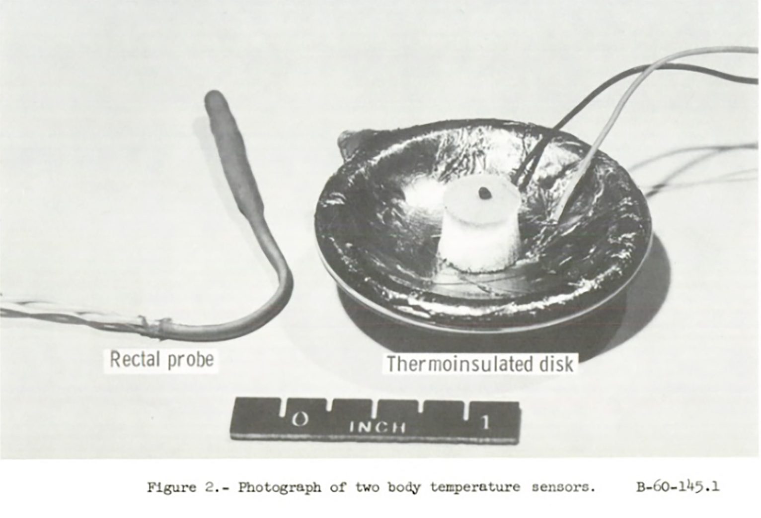 Cs Rectalprobe