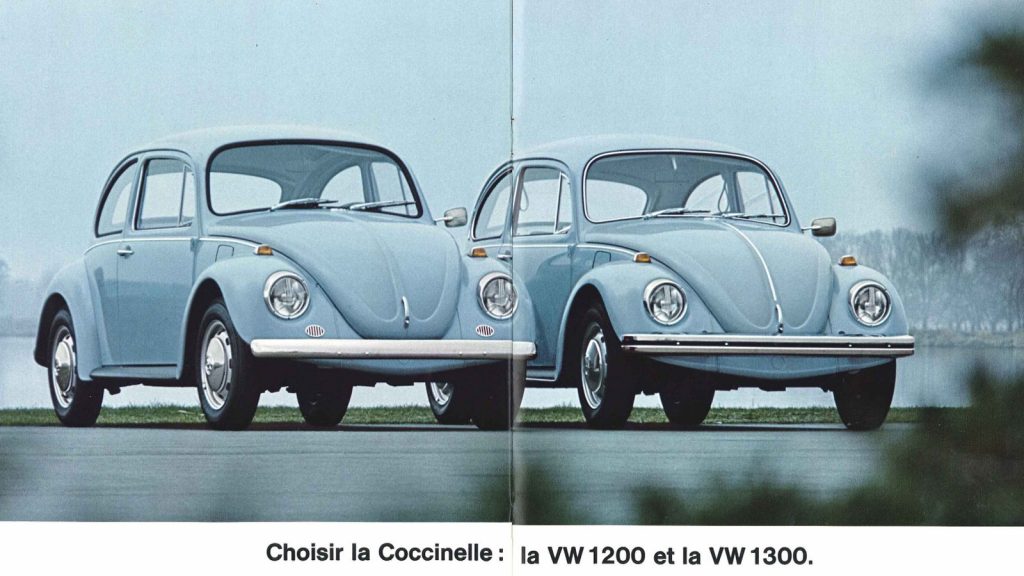 Cs Stdbeetle Top